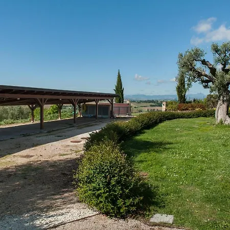 Coralia * Osimo