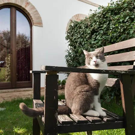 Country house Coralia