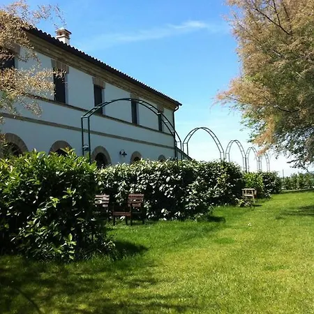 Coralia * Osimo