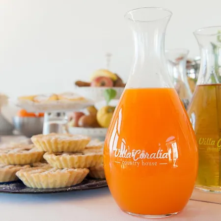 乡村民宿 Coralia